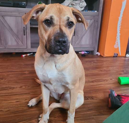 Photo of Athena