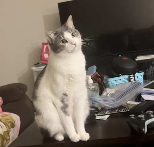 Photo of Azura
