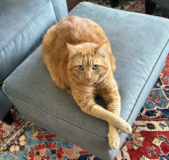 Photo of Baxter