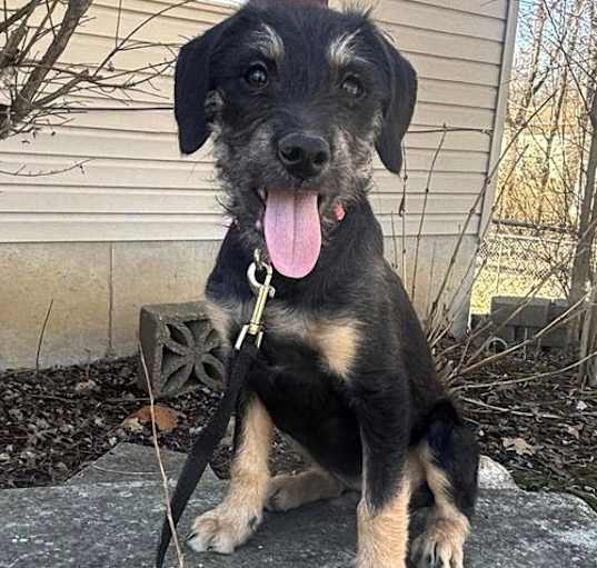 Photo of ZuZu