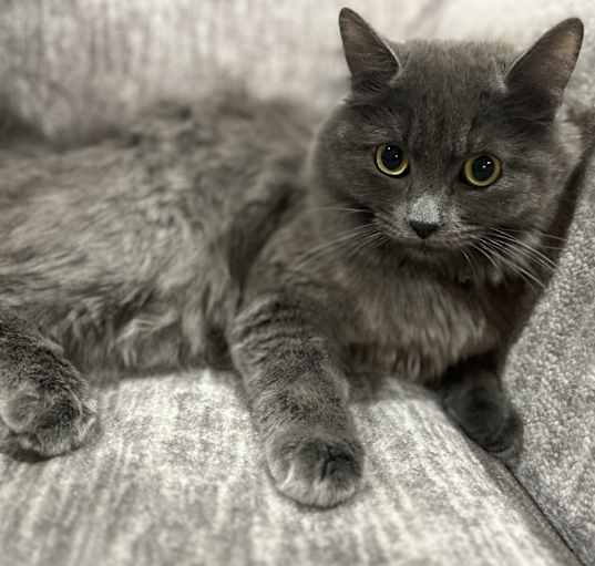 Photo of Hazel