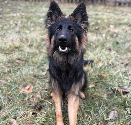 Photo of Mateo