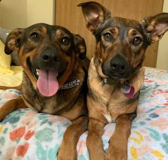Photo of Rosie and lily