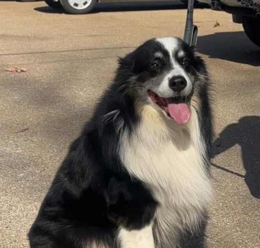 Photo of Jax