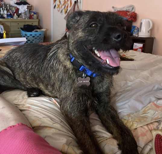 Photo of Lila