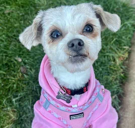 Photo of Libby