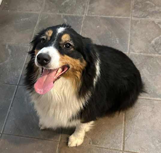 Photo of Rosie