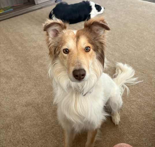 Photo of Bingo
