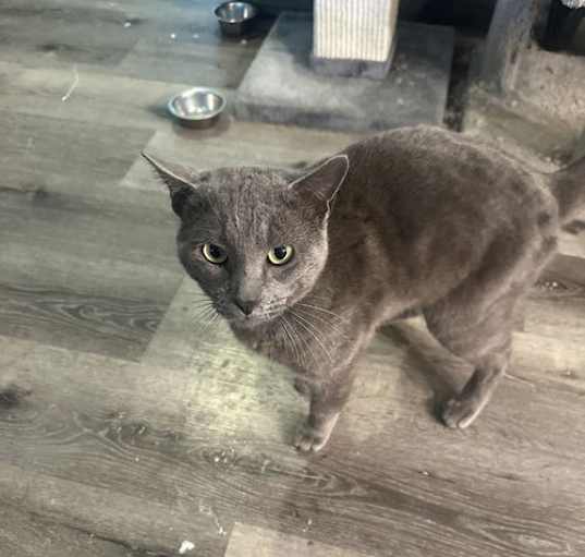 Photo of Tommy