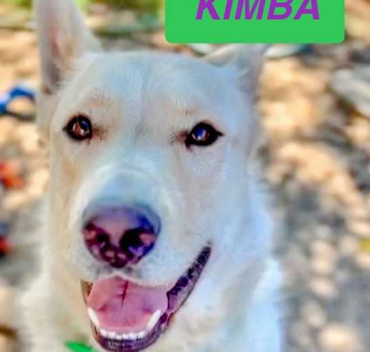 Photo of Kimba