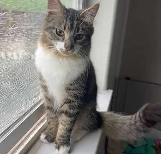Photo of Sawyer