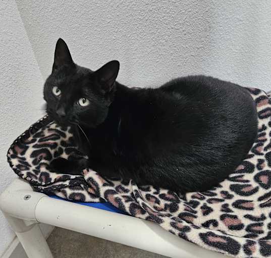 Photo of Sabrina