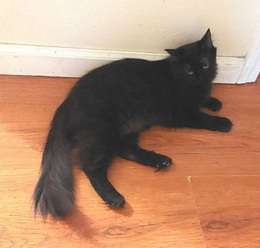 Photo of Lefty