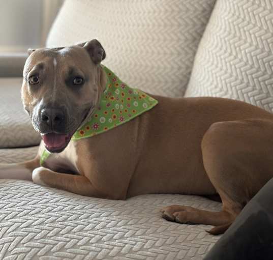 Photo of Lucy