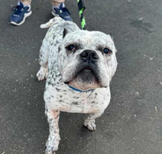 Photo of ROSCOE