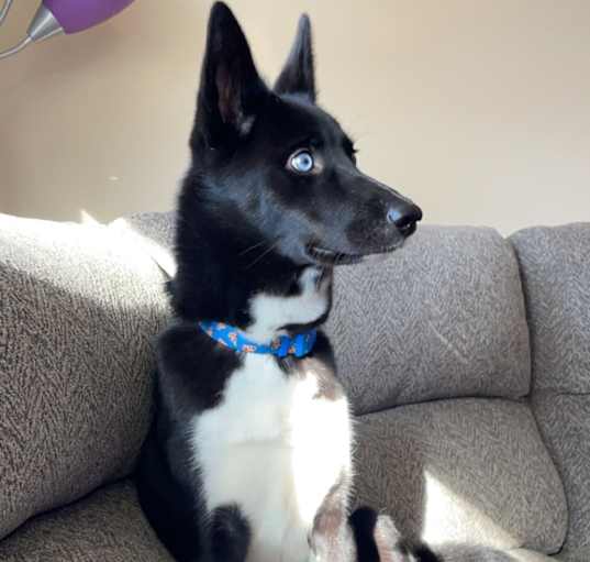 Photo of Moxxi