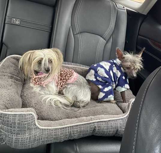 Photo of Zena & Conan