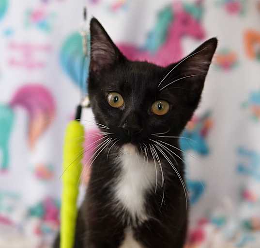 Photo of Lilly