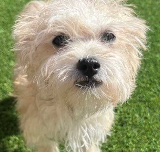 Photo of TOOTIE