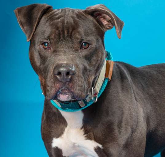 Photo of Buster