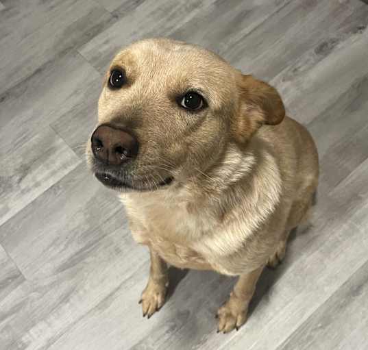 Photo of Clementine