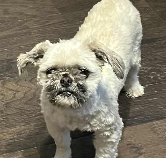 Photo of Denver