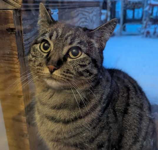 Photo of Bella