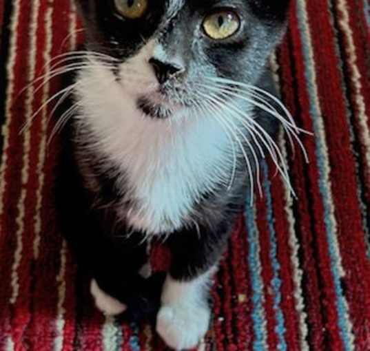Photo of Zero