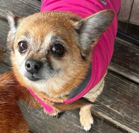 Photo of Miss Daisy
