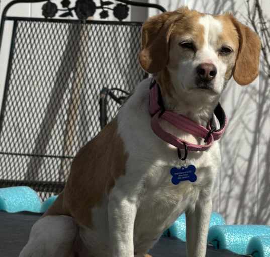 Photo of Maeve