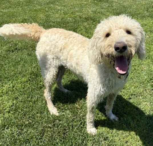 Photo of Molly