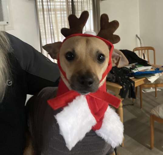 Photo of Roo