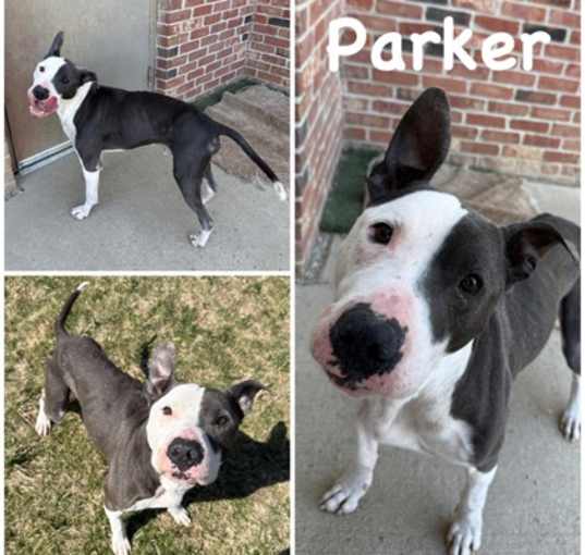 Photo of Parker aka Johnny Bones Jones