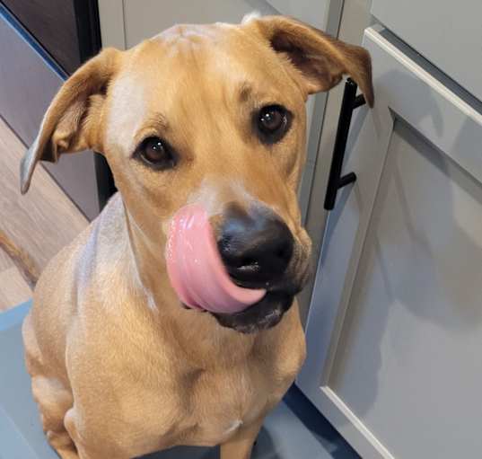 Photo of Dug