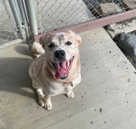 Photo of Bayou