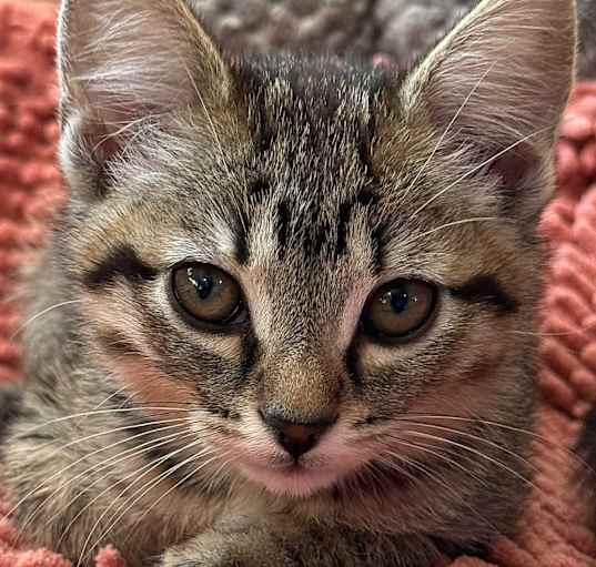 Photo of Hazel