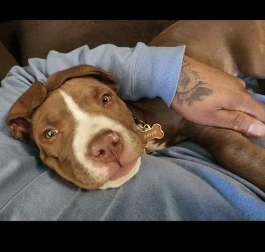 Photo of Sayzo