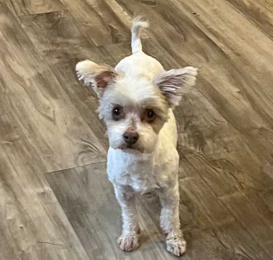 Photo of Jewel