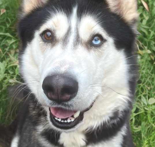 Photo of KiKi