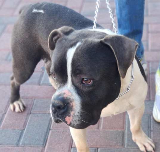 Photo of TYKE