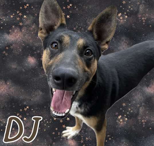 Photo of DJ