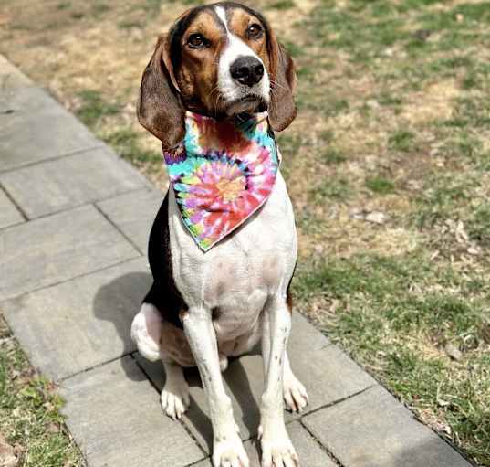 Photo of Flynn