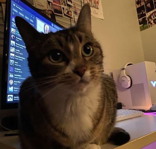 Photo of Isabella