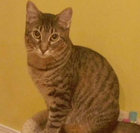 Photo of Ruthie