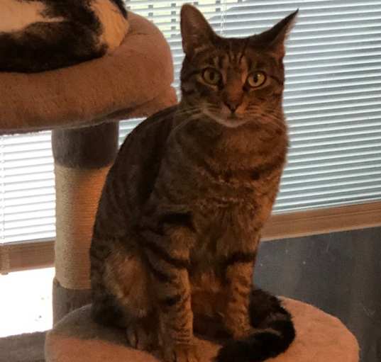 Photo of Spaz