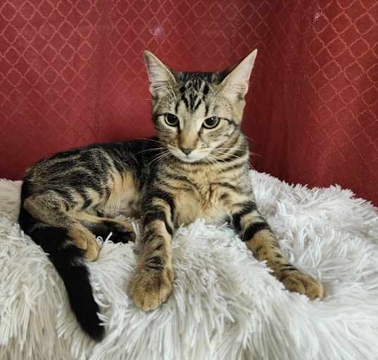 Photo of Tonya