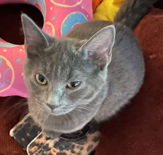 Photo of Winnifred