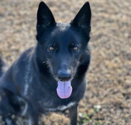 Photo of Diamond