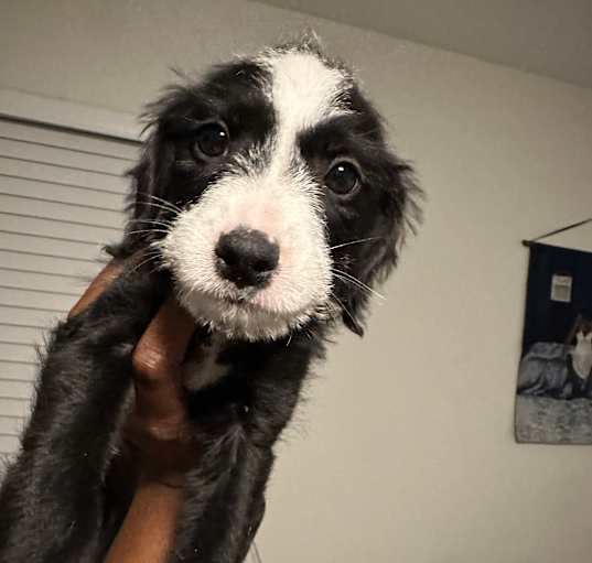 Photo of Cutie