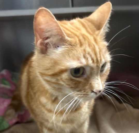 Photo of Tabitha